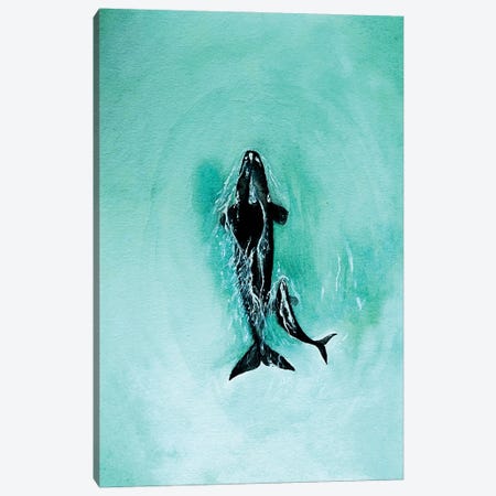 Southern Right Whales Canvas Print #KPR44} by Karli Perold Canvas Artwork