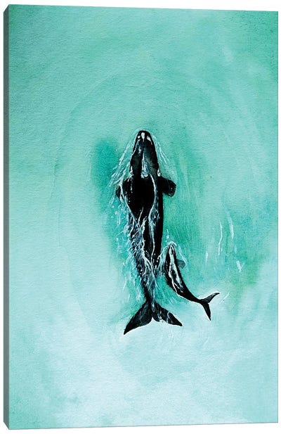 Southern Right Whales Canvas Art Print - Karli Perold