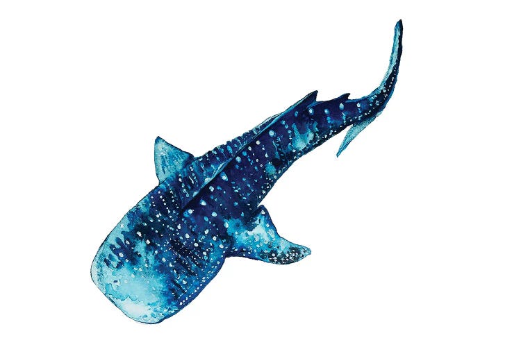 Whale Shark I