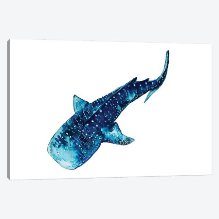 Whale Shark I Canvas Print #KPR45} by Karli Perold Canvas Art