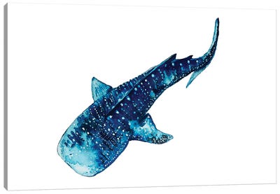 Whale Shark I Canvas Art Print - Karli Perold