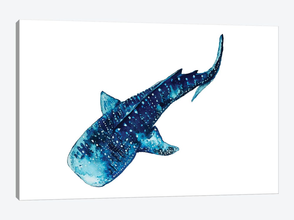 Whale Shark I by Karli Perold 1-piece Canvas Print
