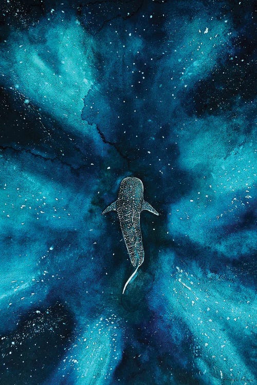 Whaleshark Galaxy