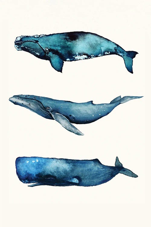 Whale Set by Karli Perold wall art
