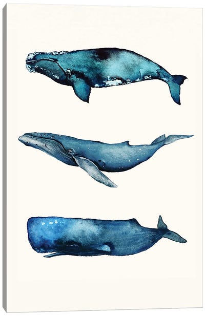 Whale Set Canvas Art Print - Kids Nautical Art