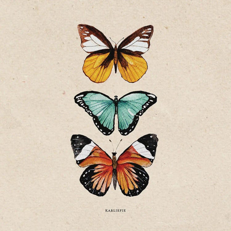 Butterflies by Karli Perold wall art