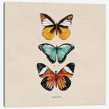 Butterflies Canvas Print #KPR57} by Karli Perold Canvas Print