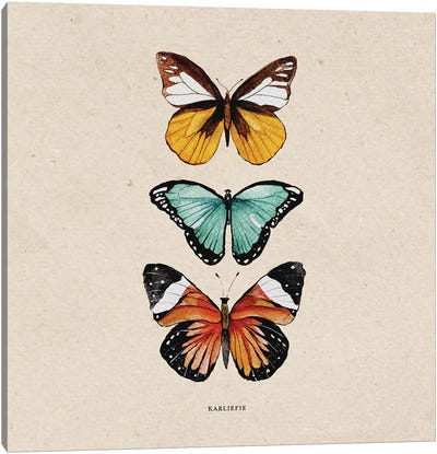 Butterflies Canvas Art Print - Karli Perold