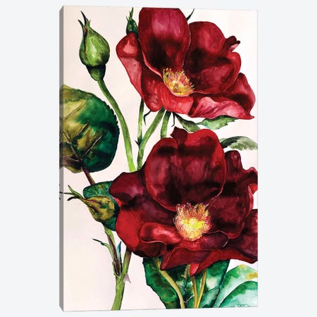 Wild Roses Canvas Print #KPR63} by Karli Perold Art Print