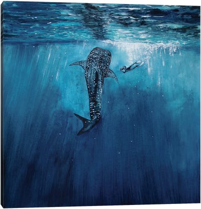 Whaleshark And Diver Canvas Art Print
