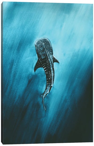 Whaleshark In The Deep Canvas Art Print - Turquoise Art