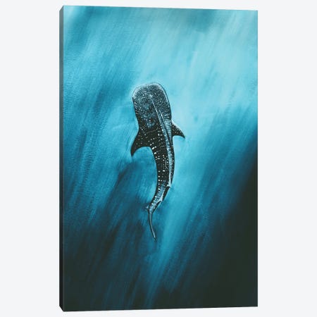 Whaleshark In The Deep Canvas Print #KPR67} by Karli Perold Canvas Wall Art