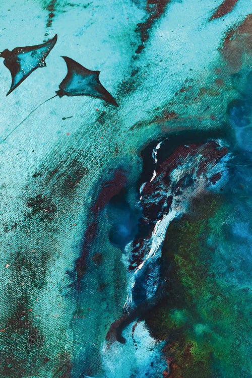 Rays by Karli Perold wall art