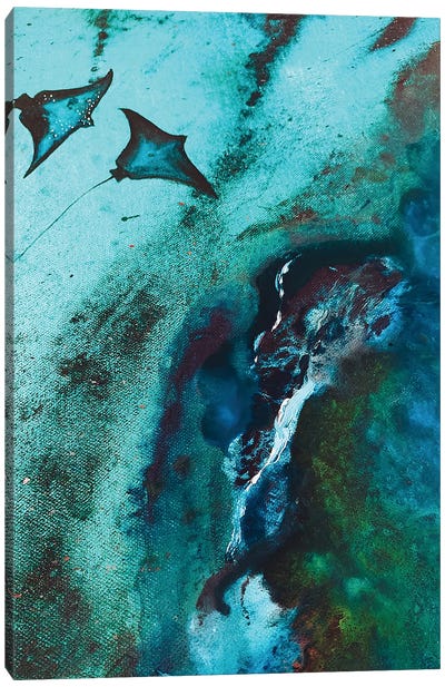 Rays Canvas Art Print - Ray & Stingray Art