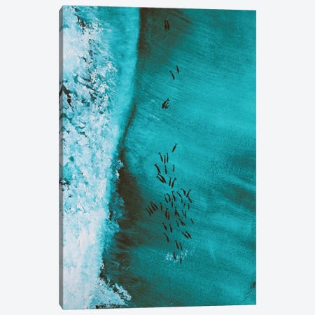 Dolphins In Surf Canvas Print #KPR70} by Karli Perold Canvas Wall Art
