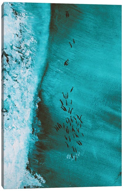 Dolphins In Surf Canvas Art Print - Turquoise Art