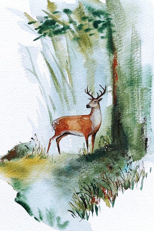 Watercolor Fawn by Karli Perold wall art