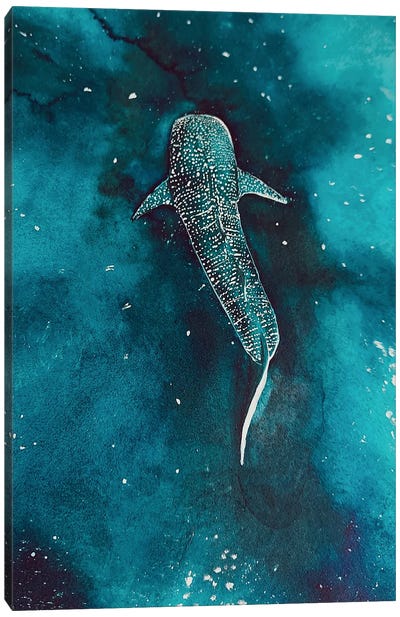 Whaleshark Universe Canvas Art Print - Galaxy Art