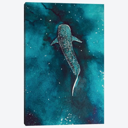 Whaleshark Universe Canvas Print #KPR82} by Karli Perold Canvas Art Print