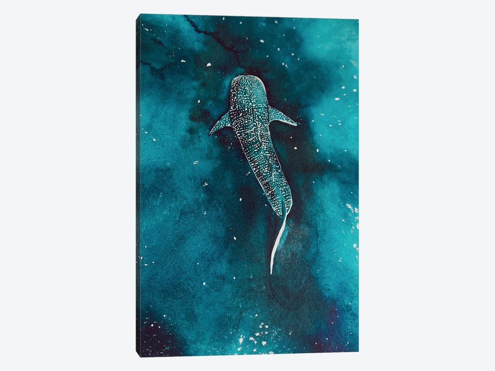 Whaleshark Universe by Karli Perold 1-piece Canvas Art