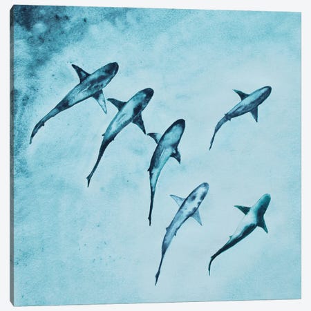 Reef Sharks Swimming Canvas Print #KPR86} by Karli Perold Canvas Art