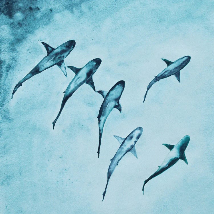 Reef Sharks Swimming