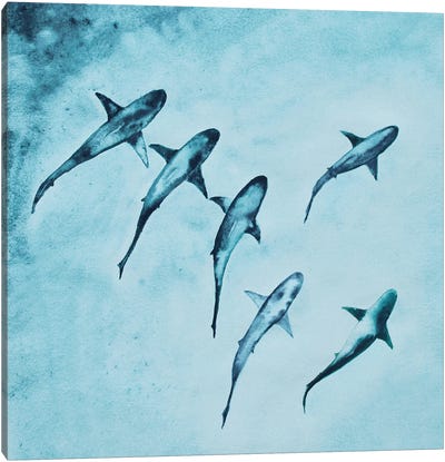 Reef Sharks Swimming Canvas Art Print - Turquoise Art