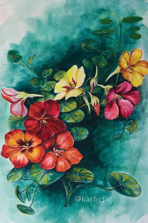 Nasturtium Flower Bunch by Karli Perold wall art
