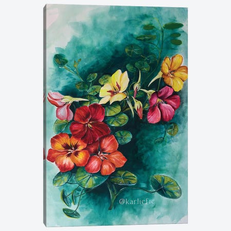 Nasturtium Flower Bunch Canvas Print #KPR87} by Karli Perold Canvas Wall Art