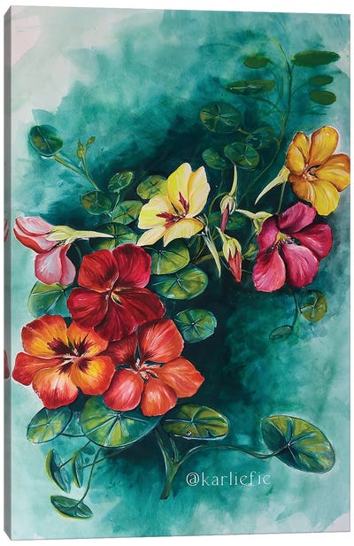 Nasturtium Flower Bunch Canvas Art Print - Turquoise Art