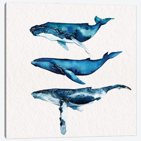Humpback Whale Collection Canvas Print #KPR88} by Karli Perold Canvas Print