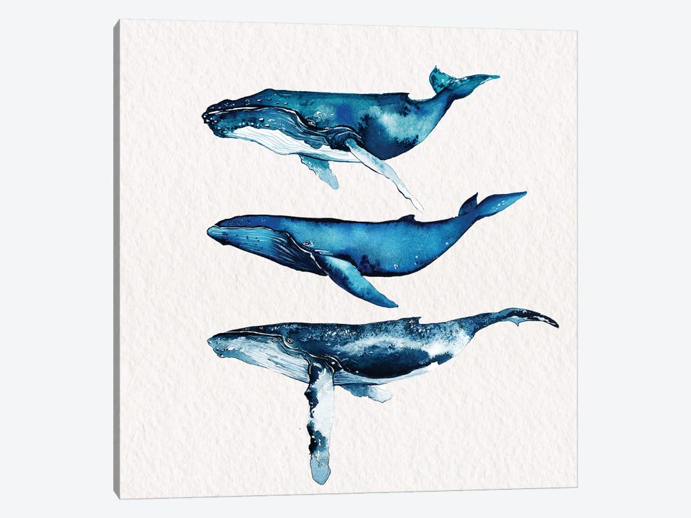 Humpback Whale Collection by Karli Perold 1-piece Canvas Wall Art