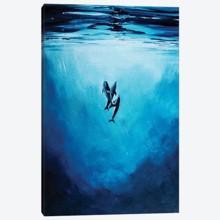 Dolphins Surface Canvas Print #KPR8} by Karli Perold Canvas Art Print