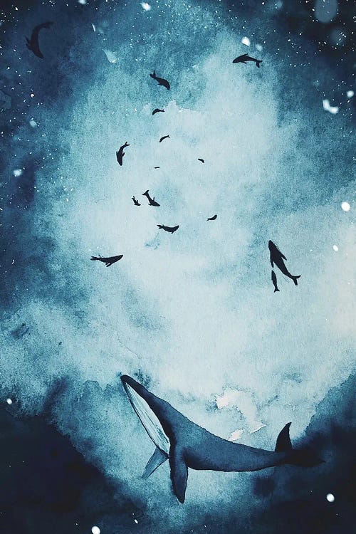 Snowy Whales In The Deep