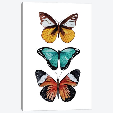 Butterfly Collection Canvas Print #KPR92} by Karli Perold Canvas Art
