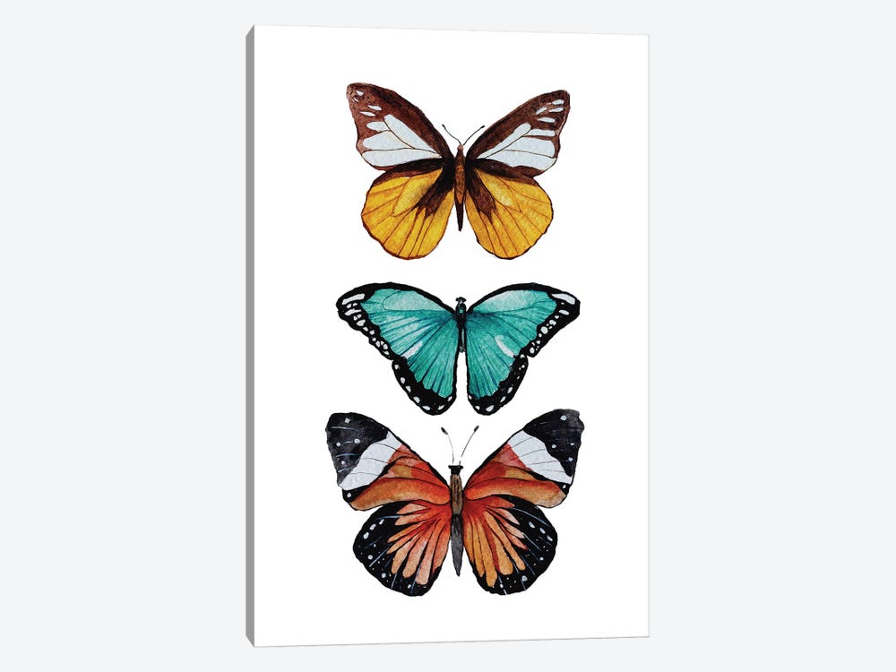 Butterfly Collection by Karli Perold 1-piece Art Print