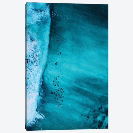 Dolphins Riding Wave Canvas Print #KPR9} by Karli Perold Canvas Print