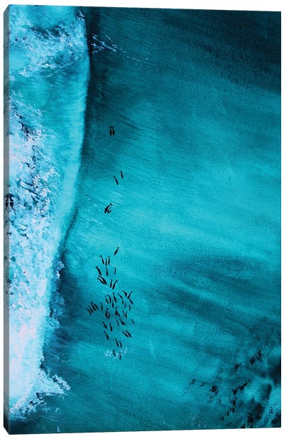 Dolphins Riding Wave Canvas Art Print - Dolphin Art