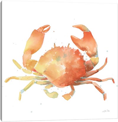 Summertime Crab Canvas Art Print