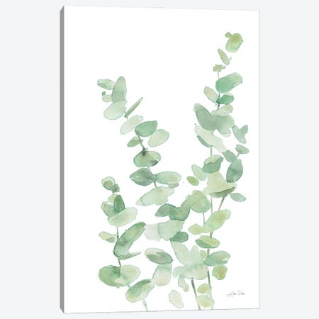 Eucalyptus II Canvas Print #KPT15} by Katrina Pete Canvas Art Print