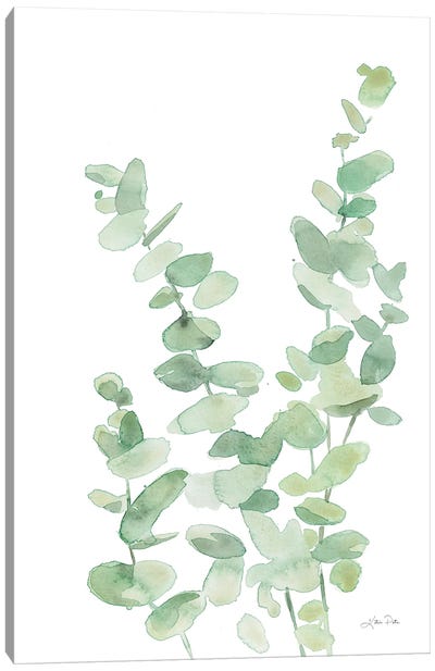 Eucalyptus II Canvas Art Print - Katrina Pete