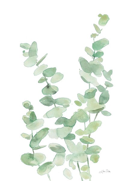Eucalyptus: Eucalyptus II by Katrina Pete