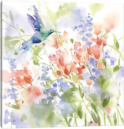 Hummingbird Meadow Canvas Art Print - Katrina Pete
