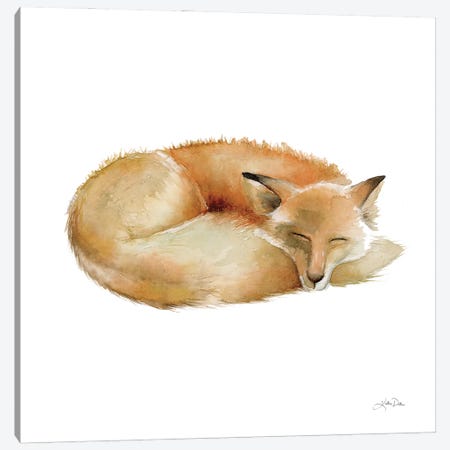 Sleeping Fox On White Canvas Print #KPT25} by Katrina Pete Canvas Art