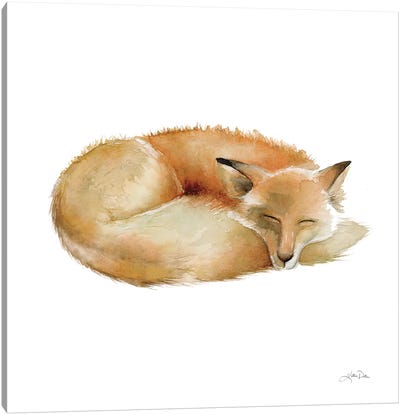 Sleeping Fox On White Canvas Art Print - Katrina Pete
