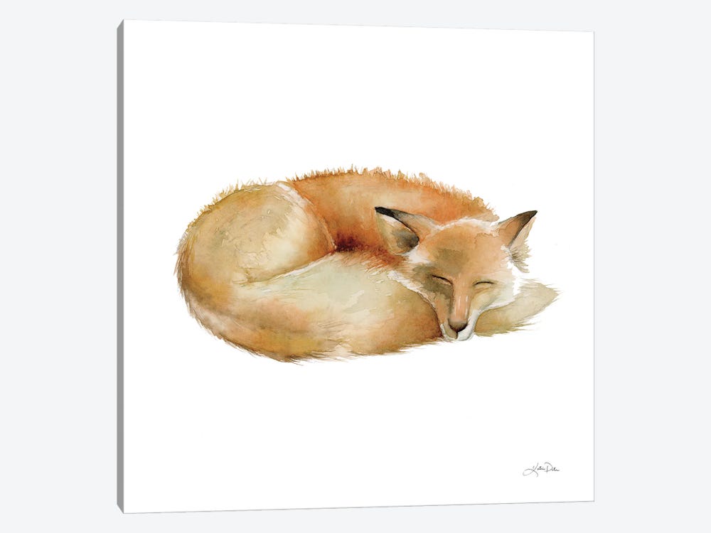 Sleeping Fox On White by Katrina Pete 1-piece Canvas Art Print