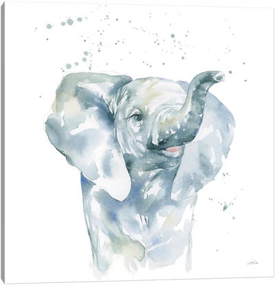 Baby Elephant Canvas Art Print