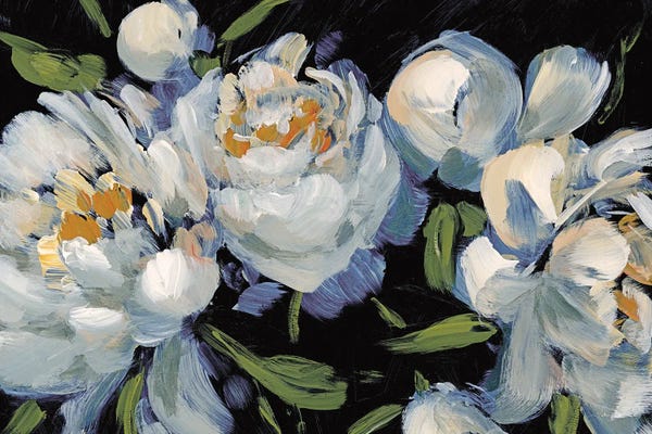 Peonies: Peony Season II by Katrina Pete