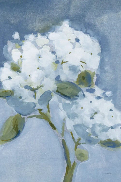 Elegant Hydrangea