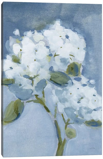 Elegant Hydrangea Canvas Art Print - Shabby Chic Décor